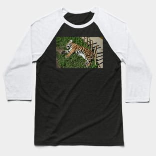 Tiger Cub Baseball T-Shirt